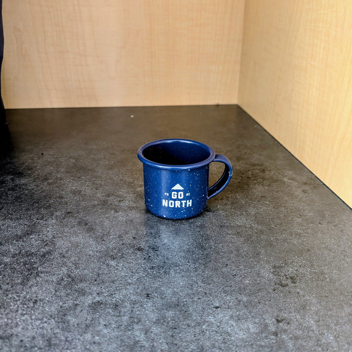 Campfire Shot Mug