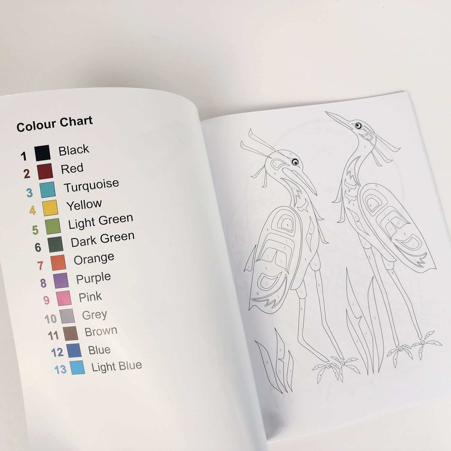 Colour by Number Indigenous Art Book