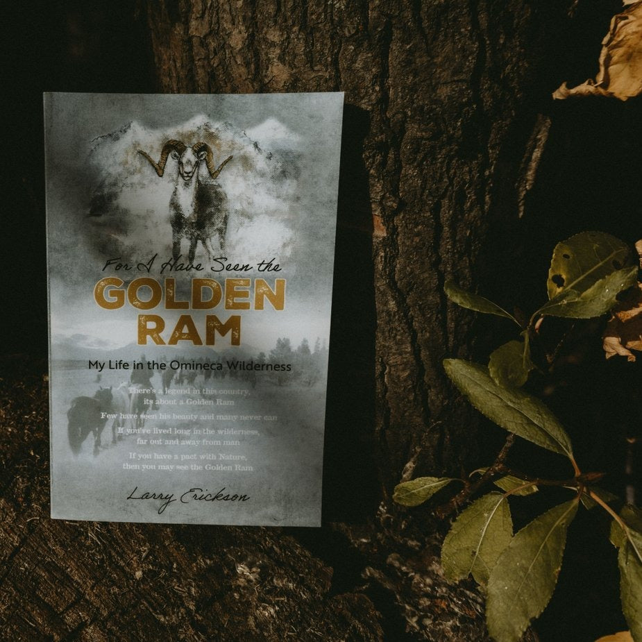 For I have Seen the Golden Ram By: Larry Erickson