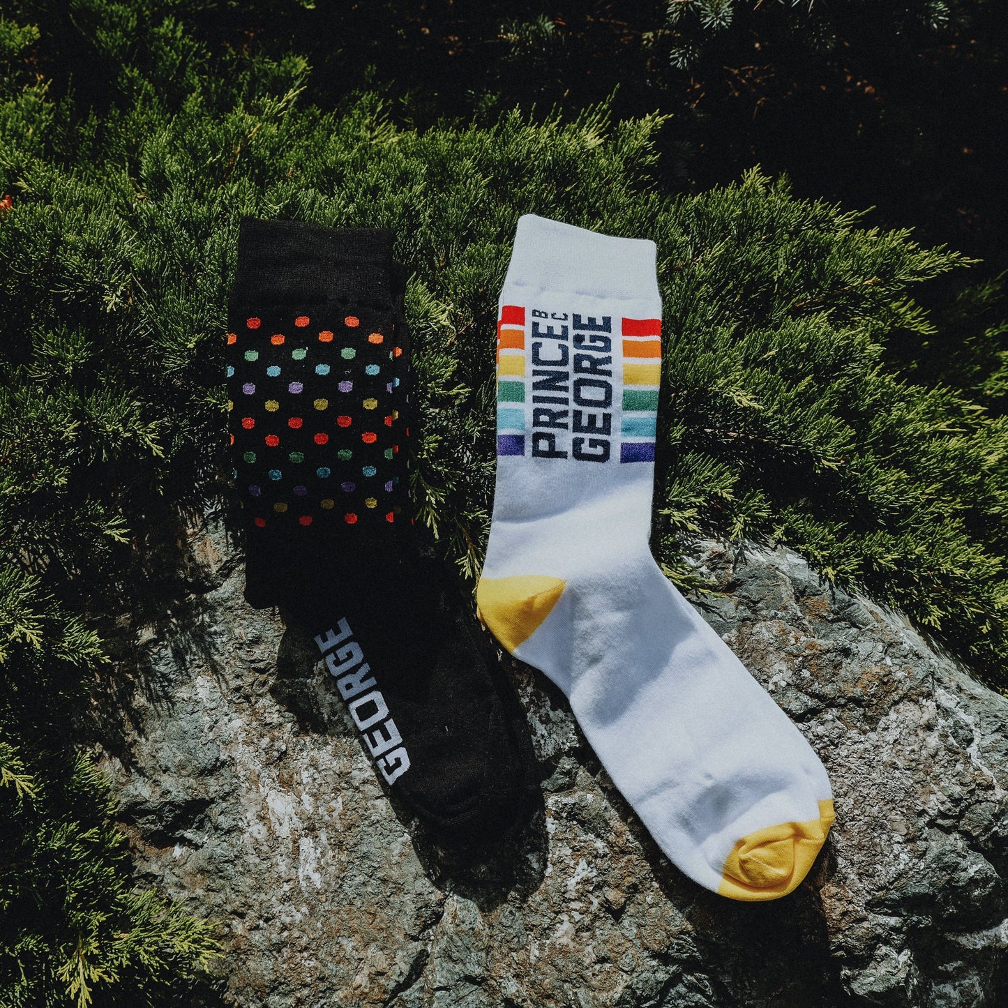 Prince George Pride Socks