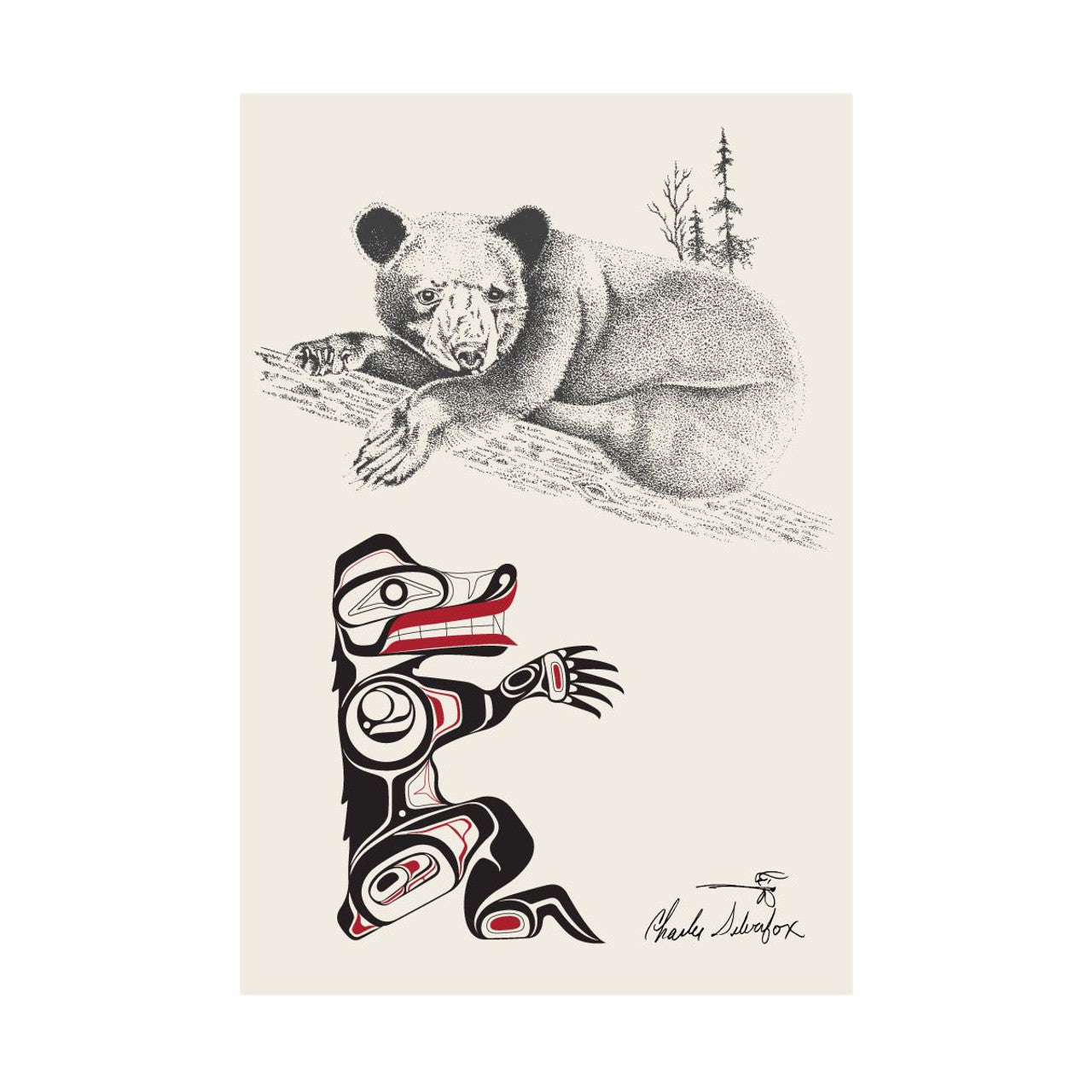 Postcard-Bear