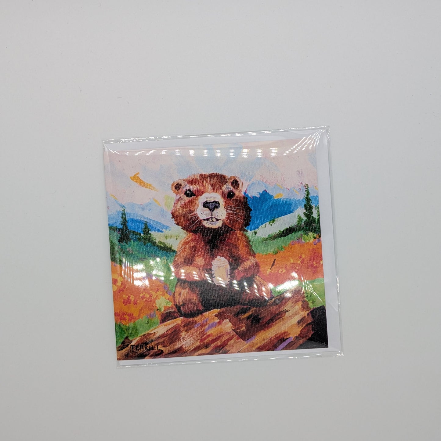 Wildlife Cafe Art Cards