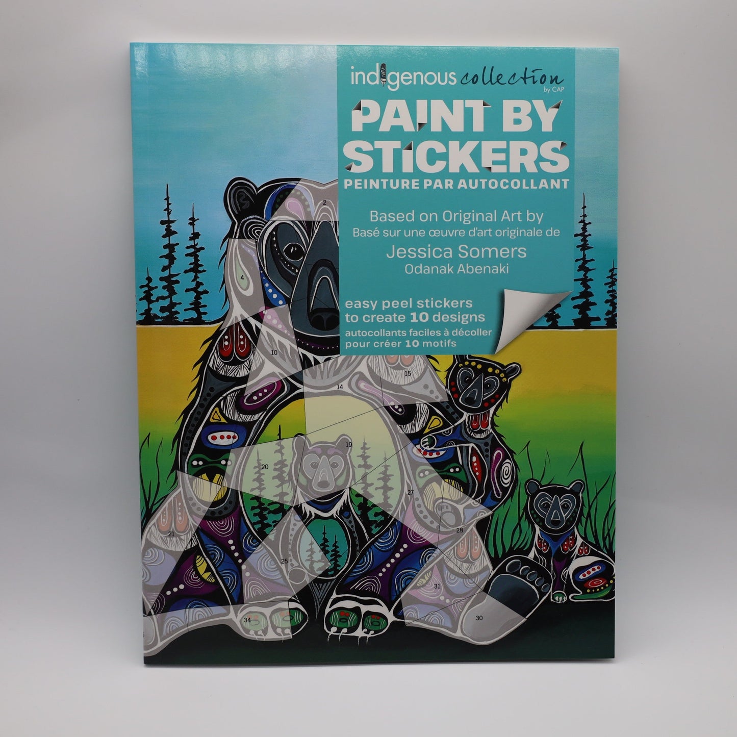 Paint by Sticker Book - Jessica Somers