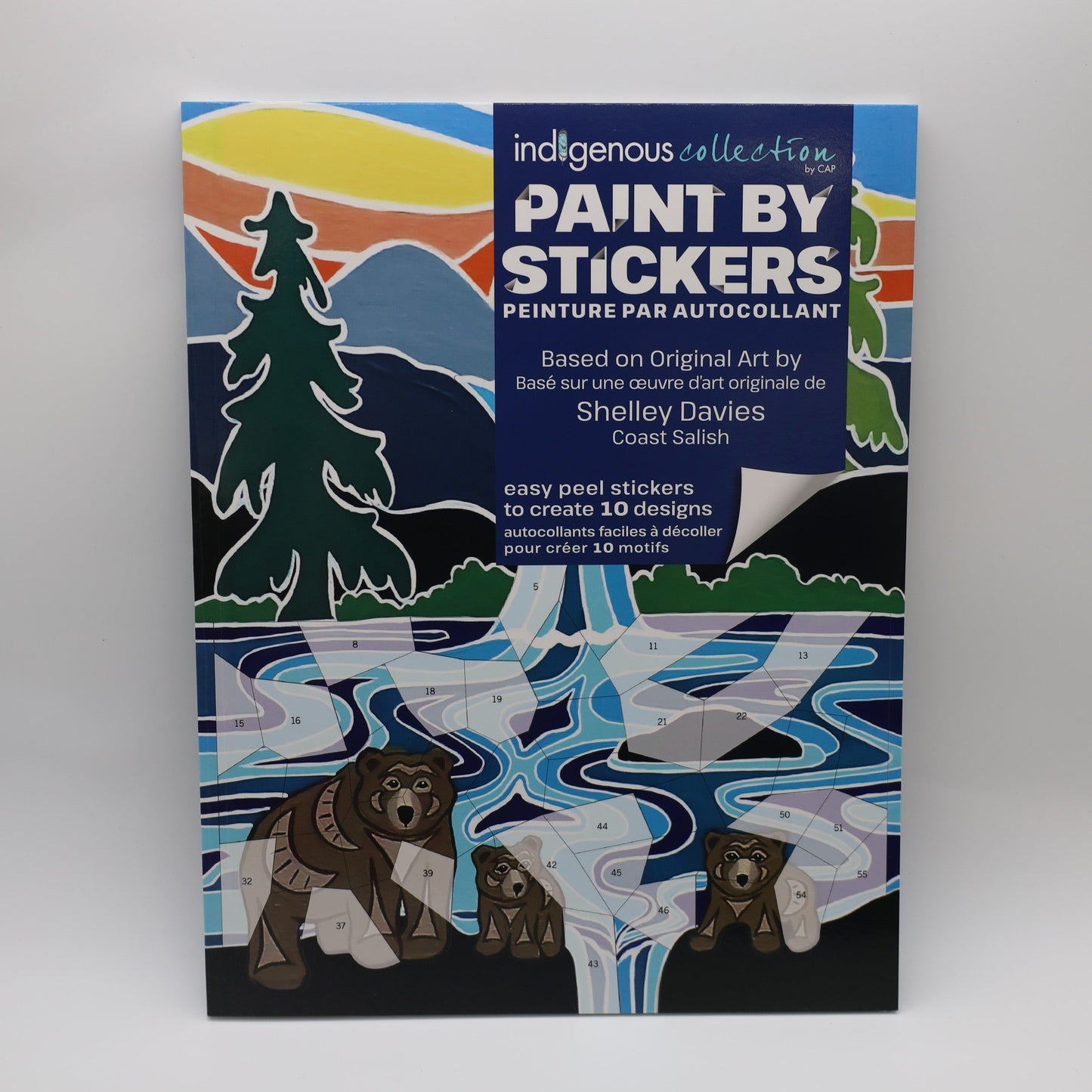 Paint by Sticker Book - Shelley Davies