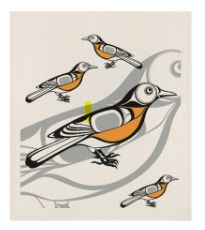 Eco Cloth - Robin