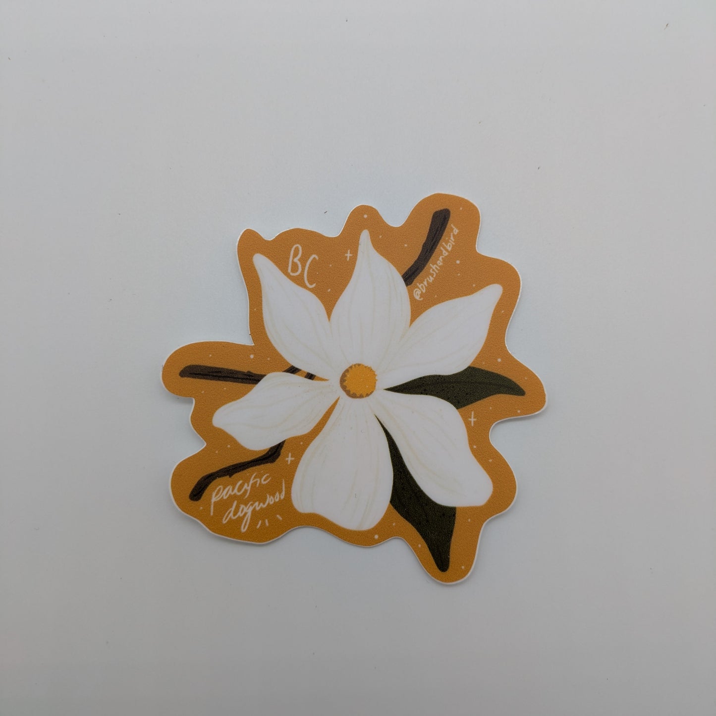 Sticker - BC Pacific Dogwood