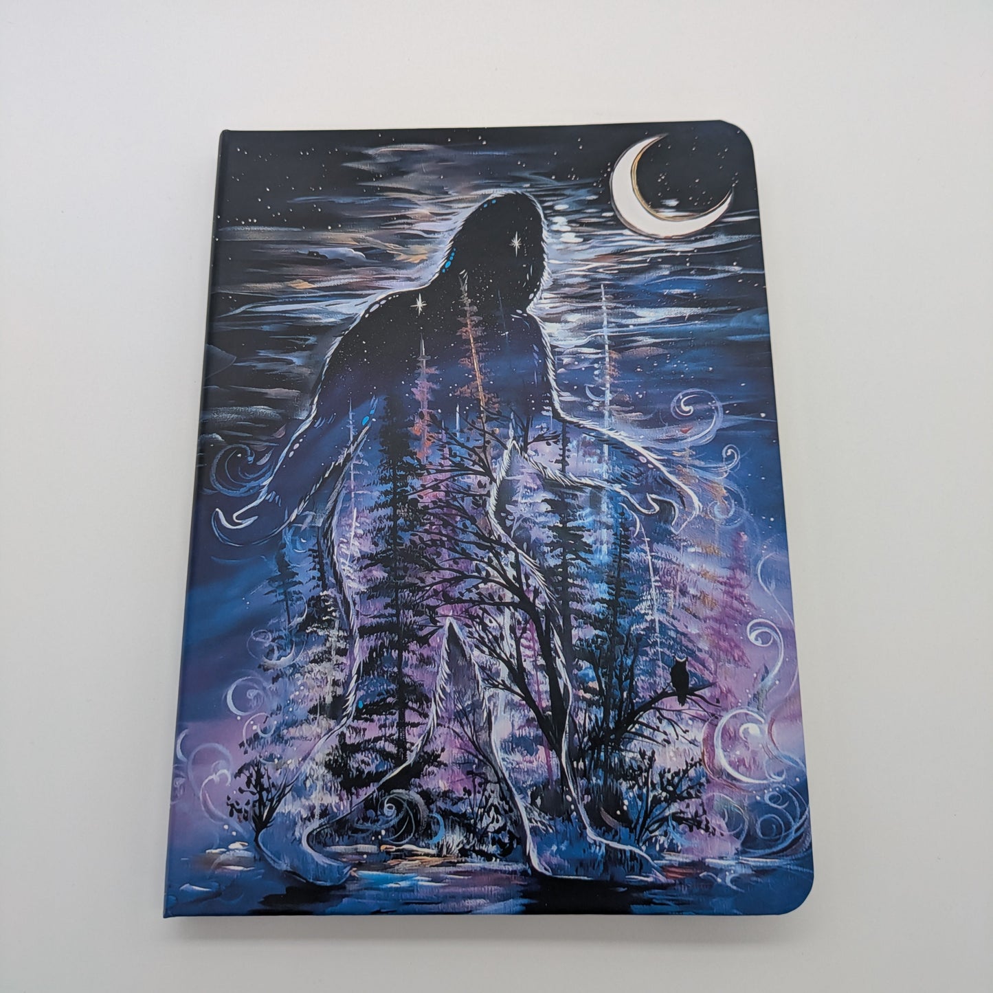 Journals - Indigenous Collection