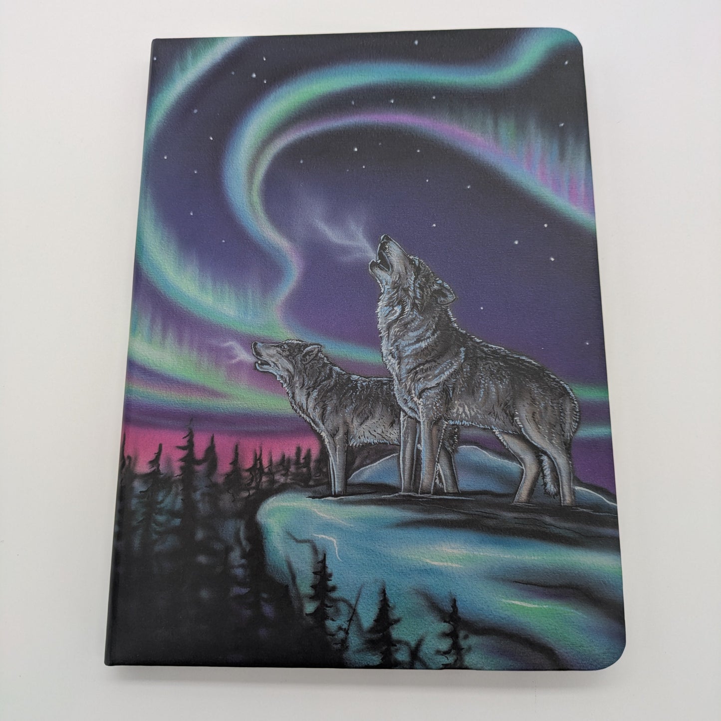 Journals - Indigenous Collection