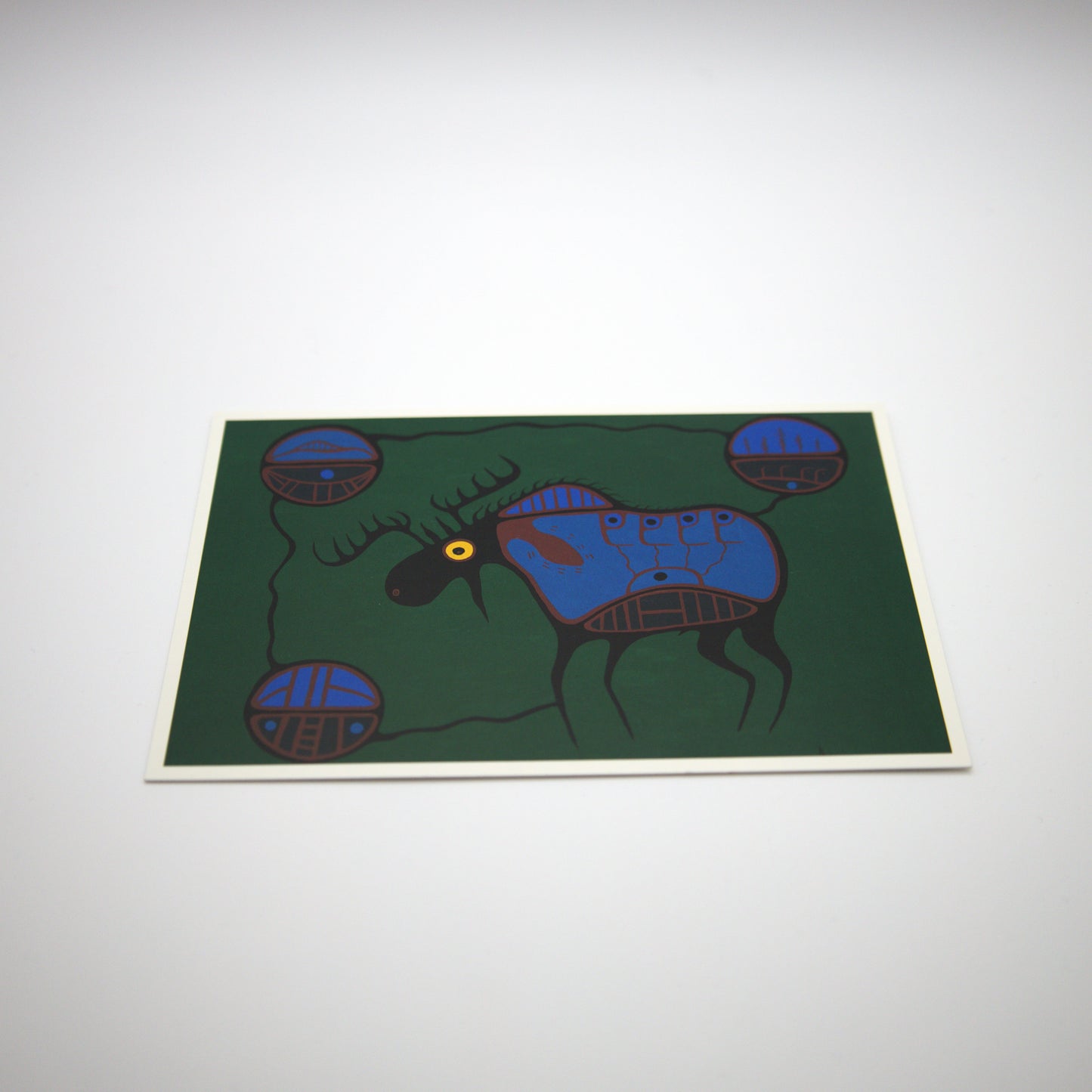 Postcard - Moose