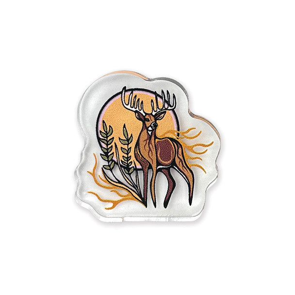 Acrylic Pins